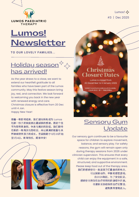 Lumos newsletter issue 3 cover